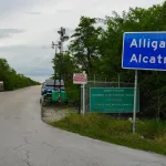 ¡Inusual!: Trump aplaude liberación de cubano de ‘Alligator Alcatraz’