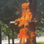 Pánico en parque de Chicago por enorme cruz en llamas